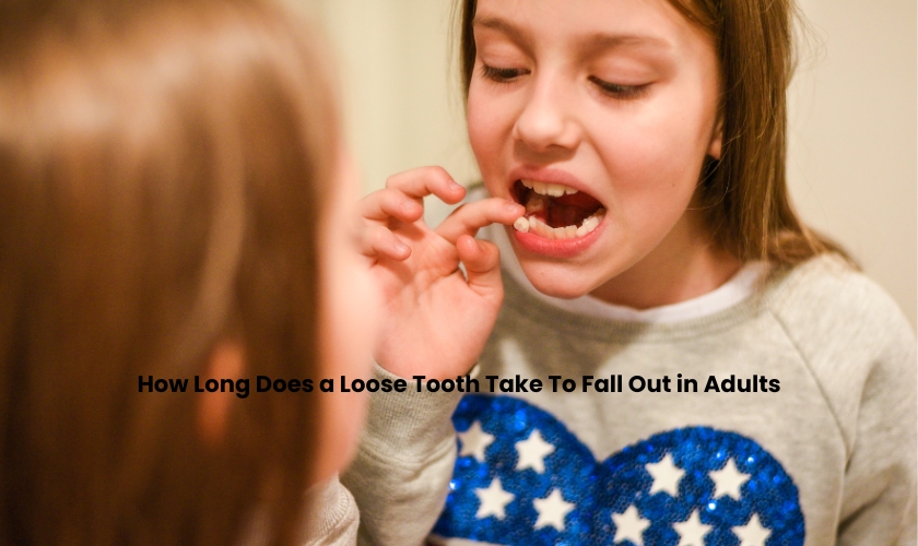 How Long Does a Loose Tooth Take To Fall Out in Adults